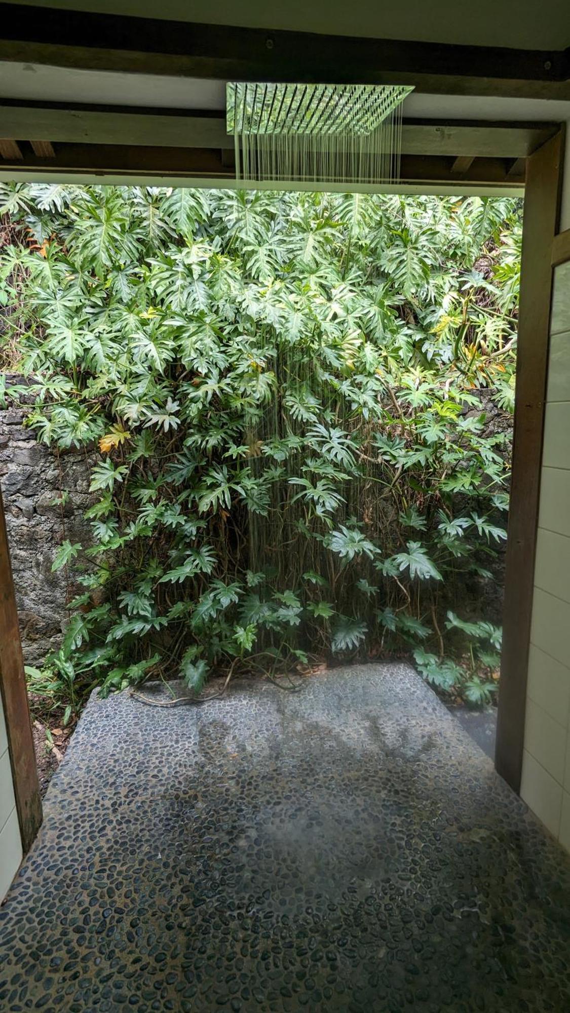 Ecolodges Karet Deshaies Exterior photo