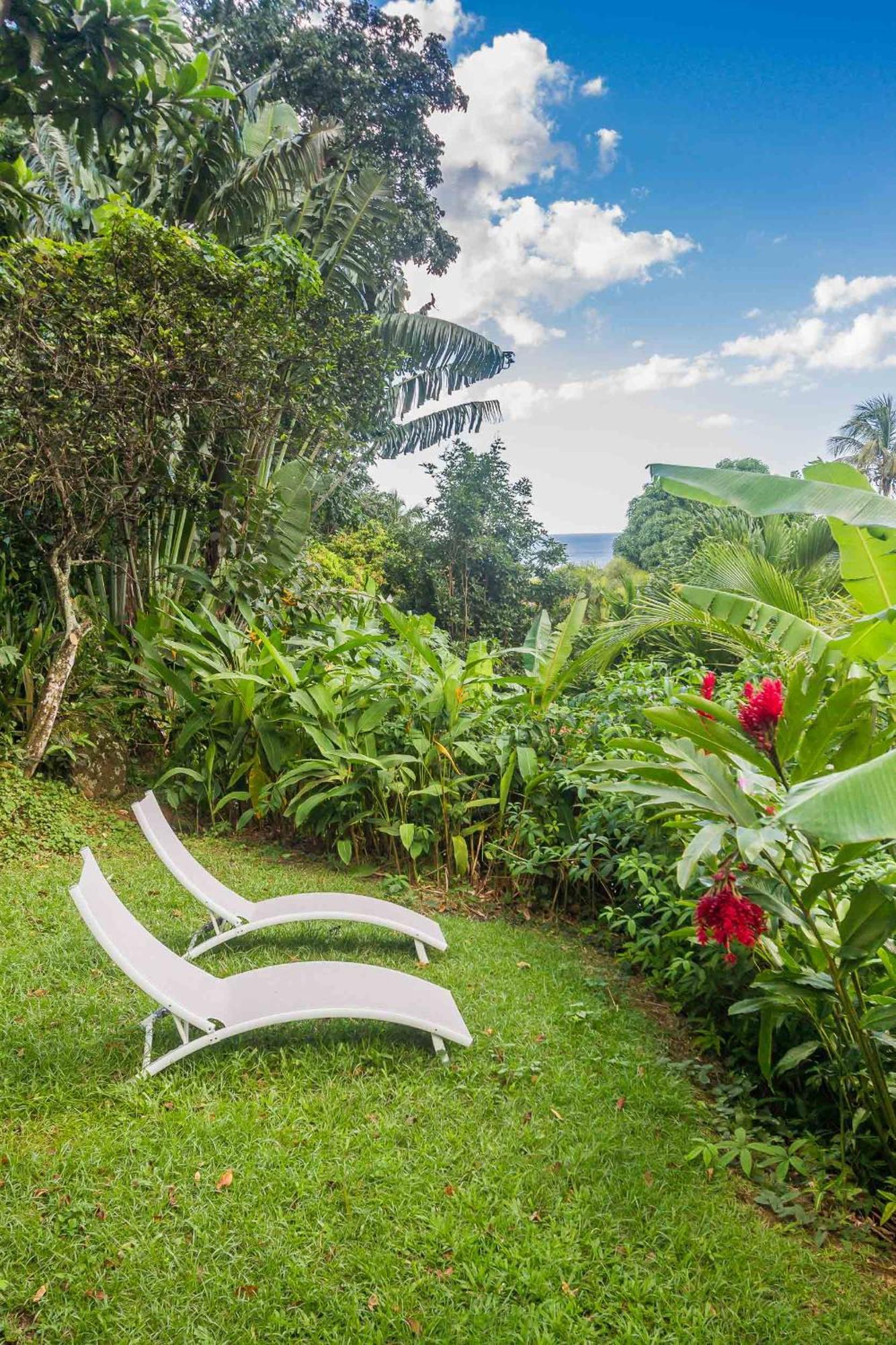 Ecolodges Karet Deshaies Exterior photo